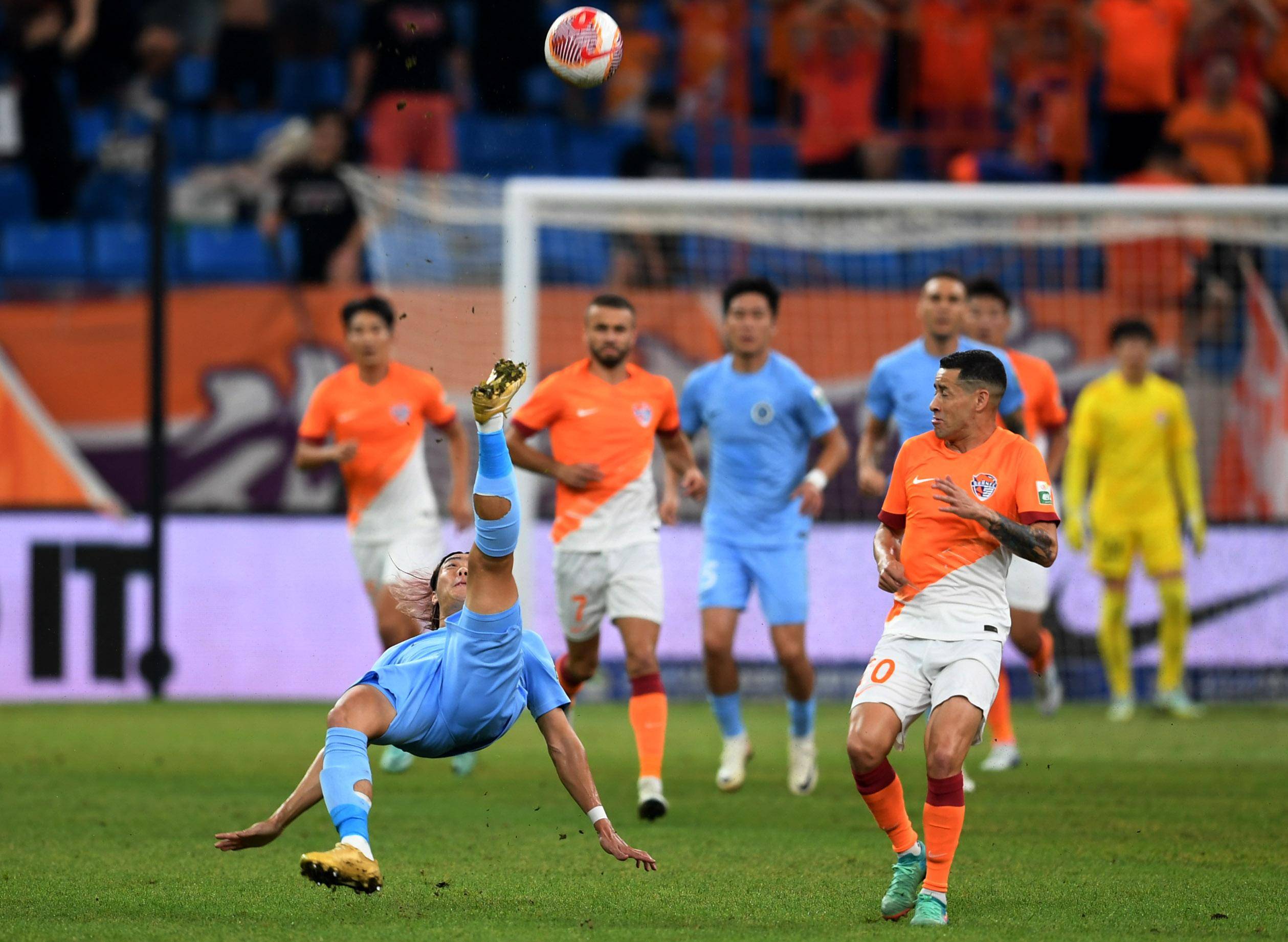 在担当德国 在担当德国